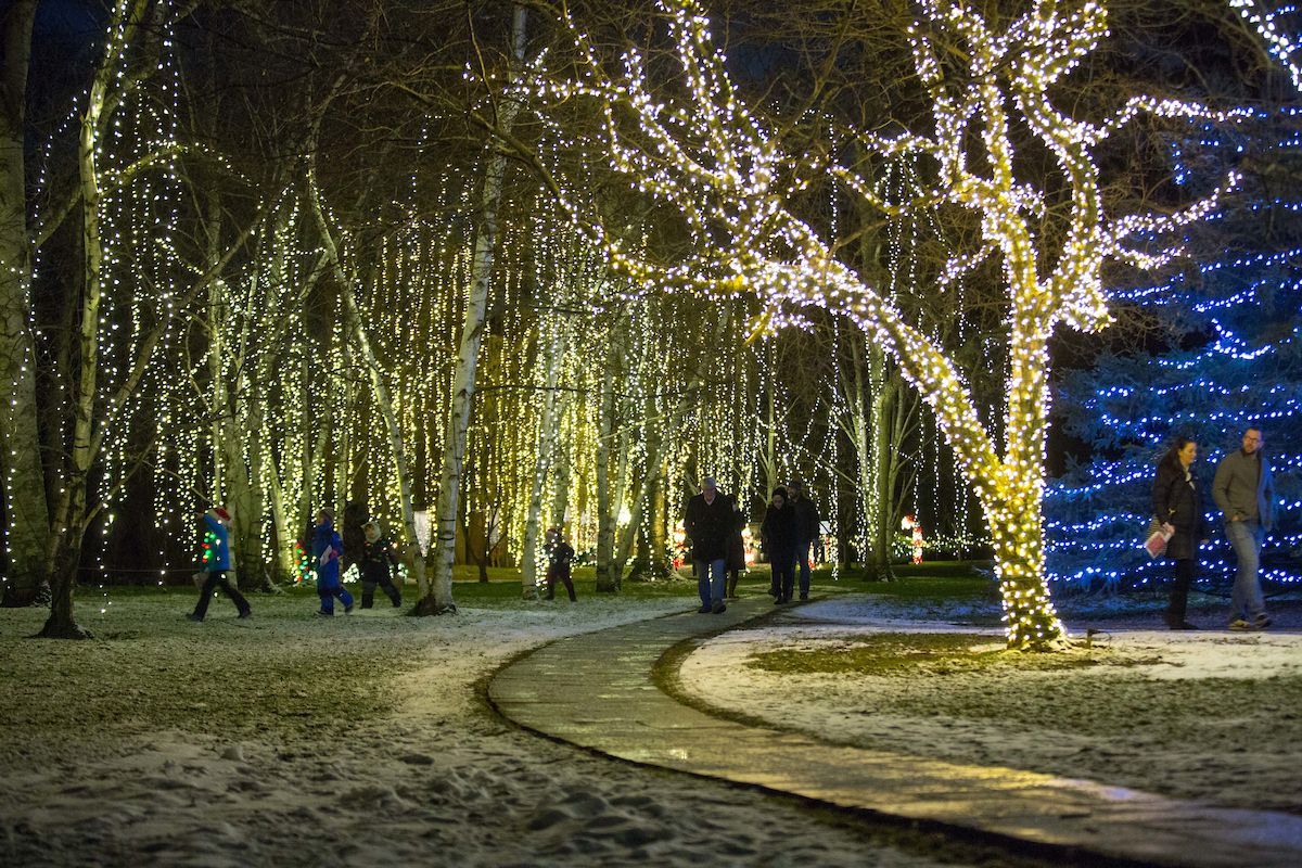 Home for the Holidays - Detroit