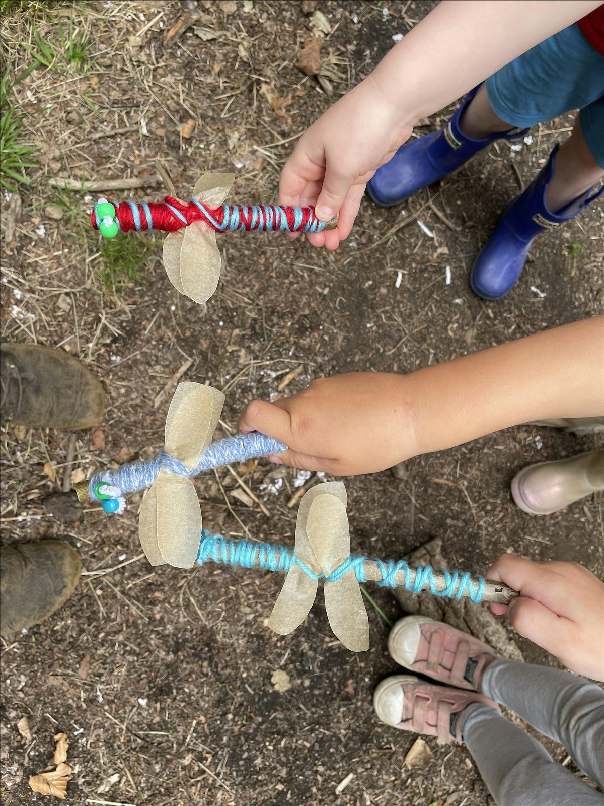 Mini Explorers on Ashdown Forest