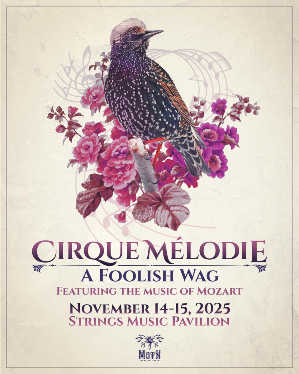Cirque Melodie: A Foolish Wag