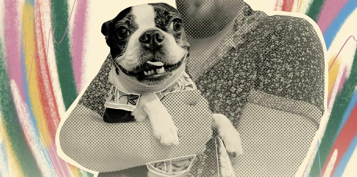 HTX Boston Terriers November  Meet-Up