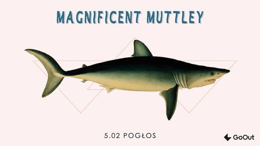 Magnificent Muttley, Second Nature \/\/ 05.02 Warszawa,Pog\u0142os