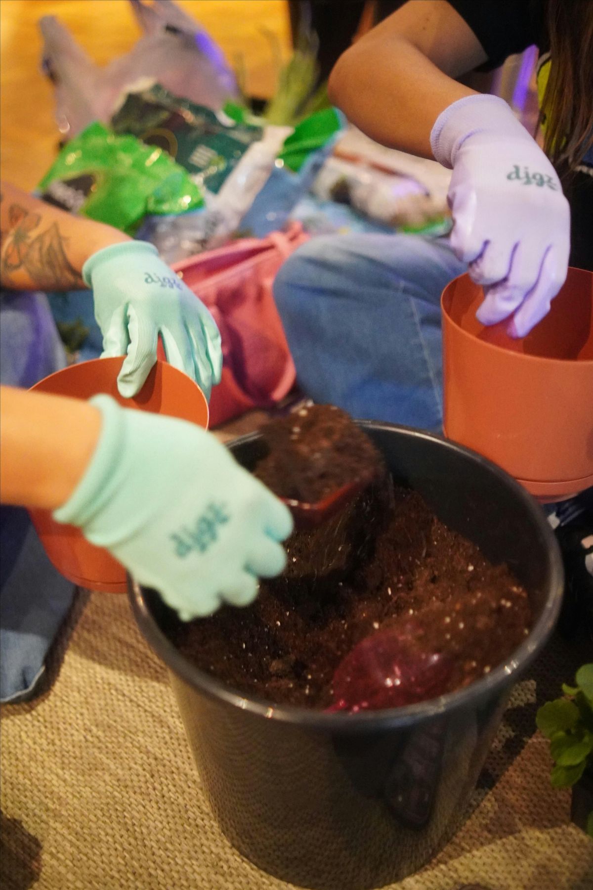 Sip & Soil Volume II