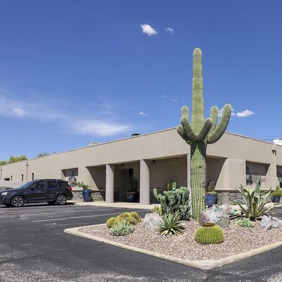 The Tucson Fine Mineral Gallery