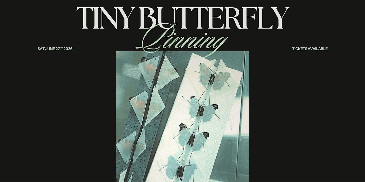 Working With Tiny Butterflies Workshop