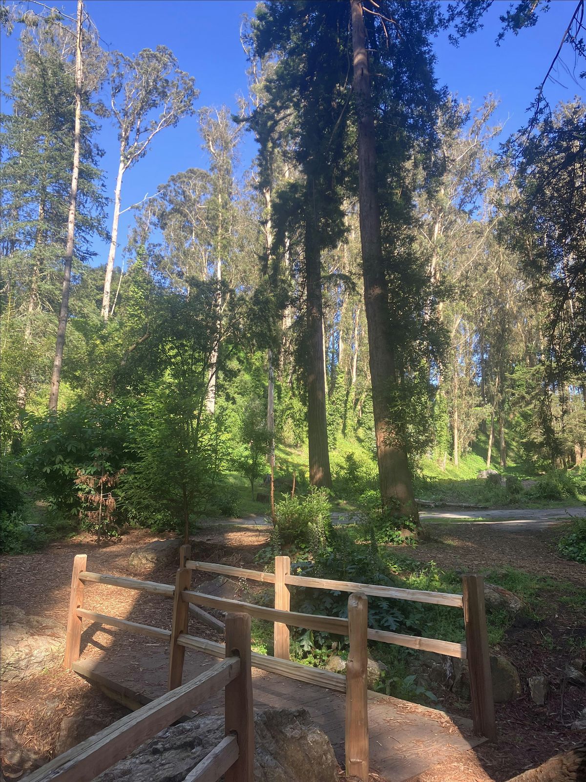 Nature Walk