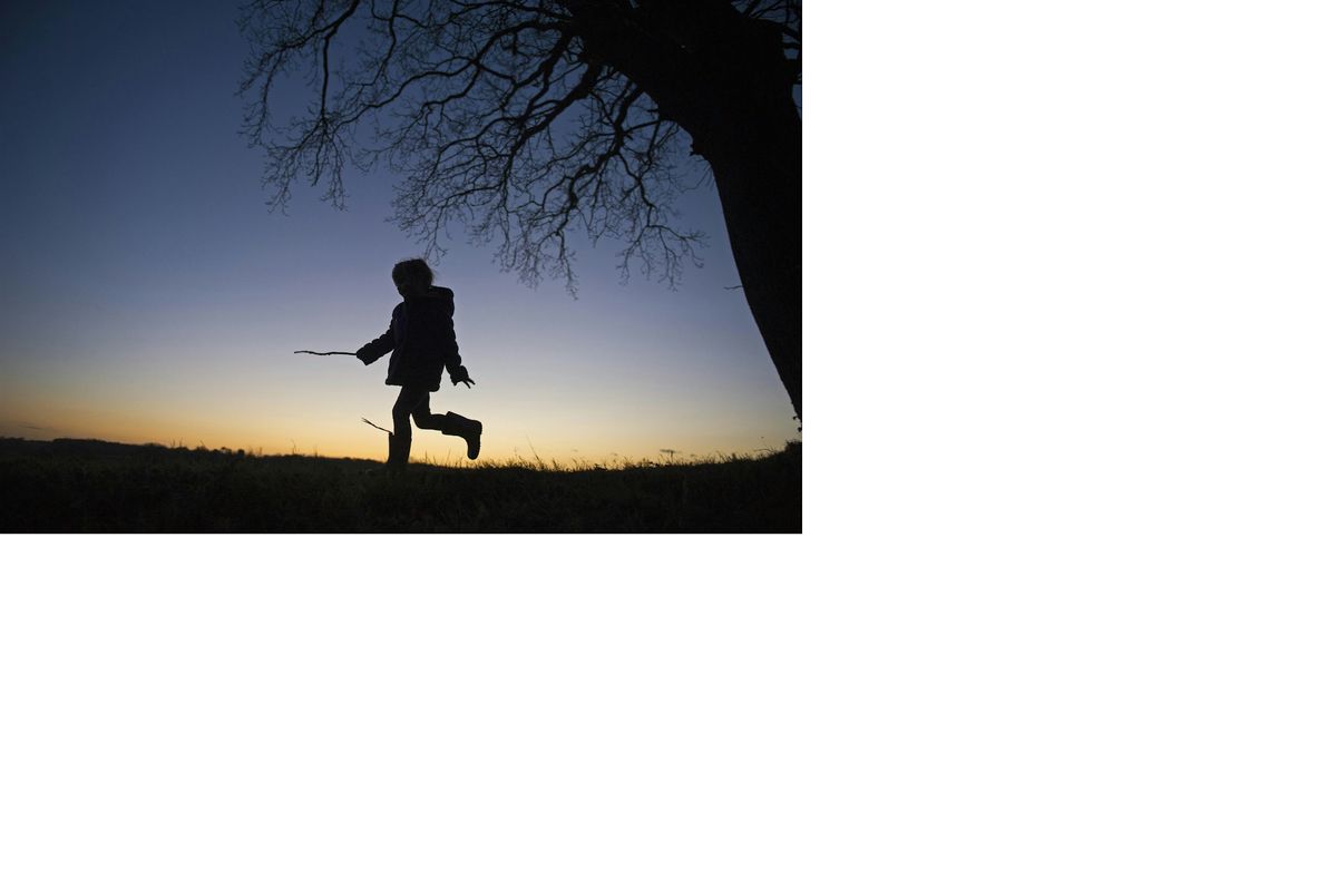 Family Event: A Wilder Christmas at West Blean and Thornden Woods