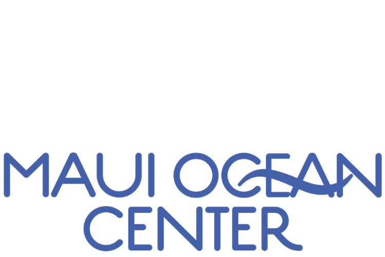 Tandy Mackenzie: Hawai\u2018i\u2019s Greatest Opera Star