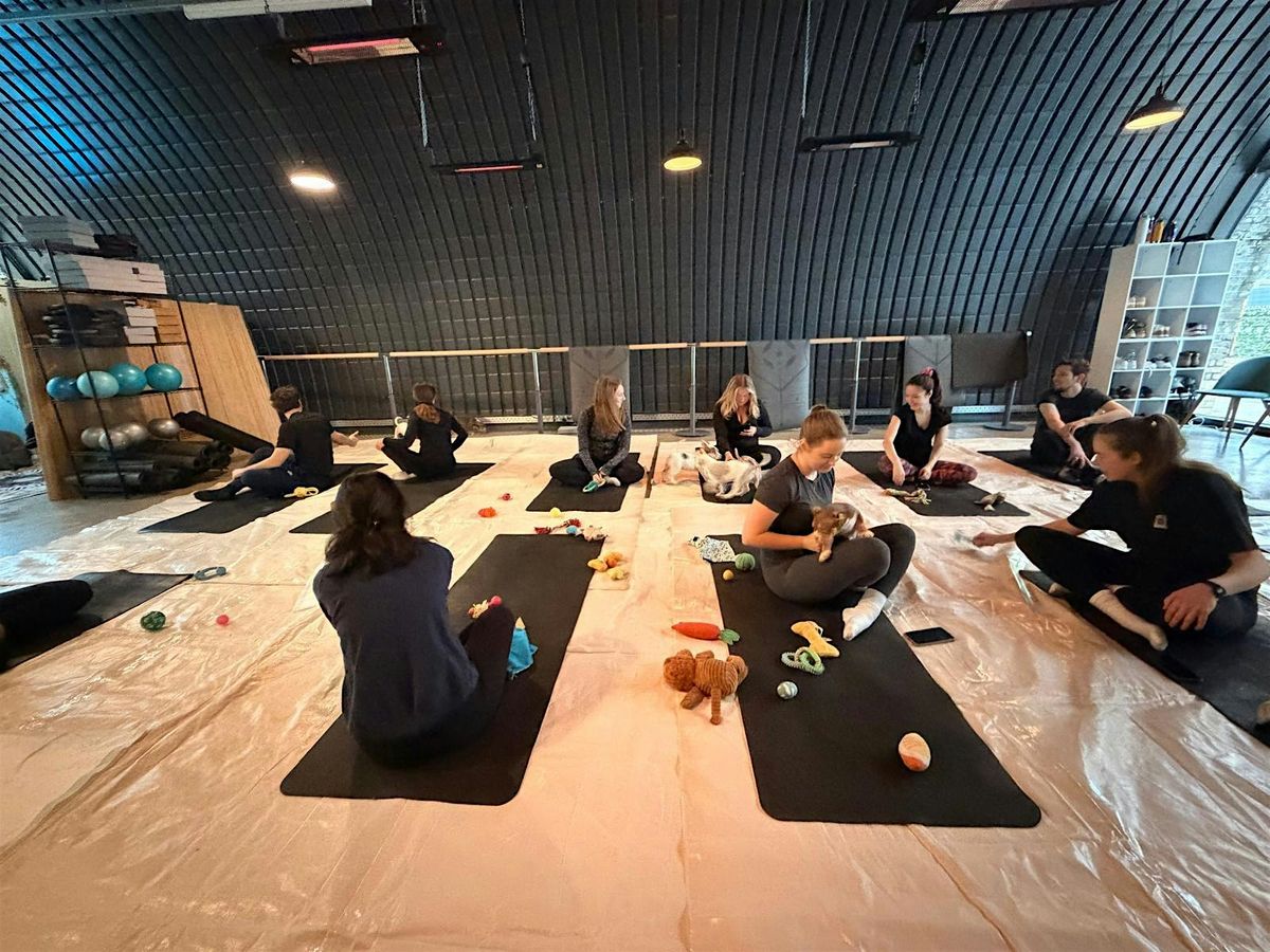 Puppy Yoga - 24 May 12.30pm
