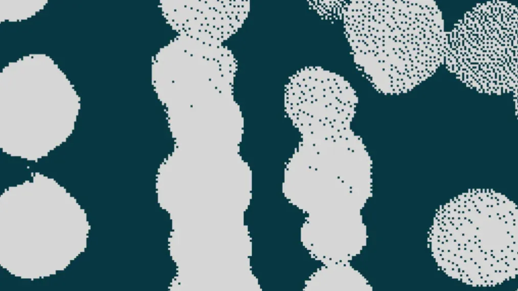 Stand High Patrol, Marina P, The Radiators, The Radiators in Paris