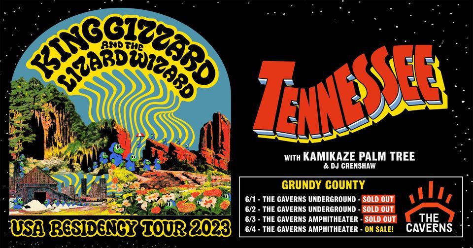 King Gizzard and The Lizard Wizard at The Caverns The Caverns, Pelham