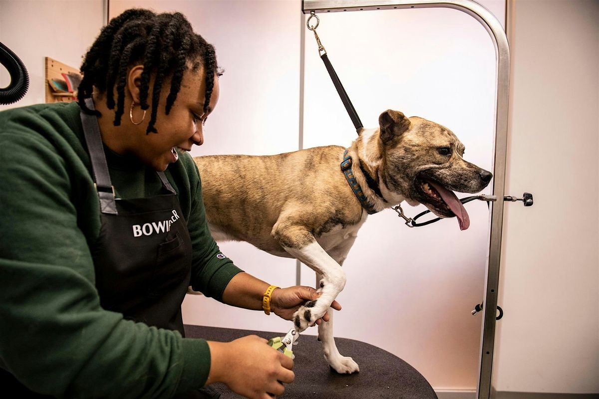Pup Painting Party at Bowie Barker Livermore