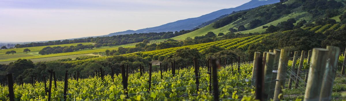 Lucia at Mondavi Center