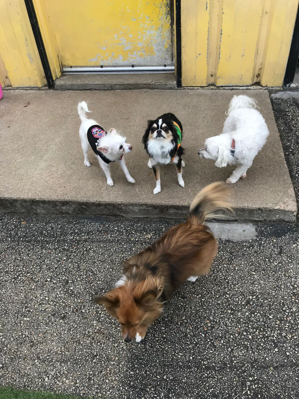 Fourth Saturdays at Southpaws