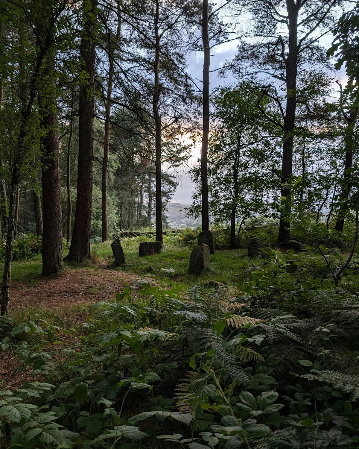 Beginner's Guided Hike - Birchover