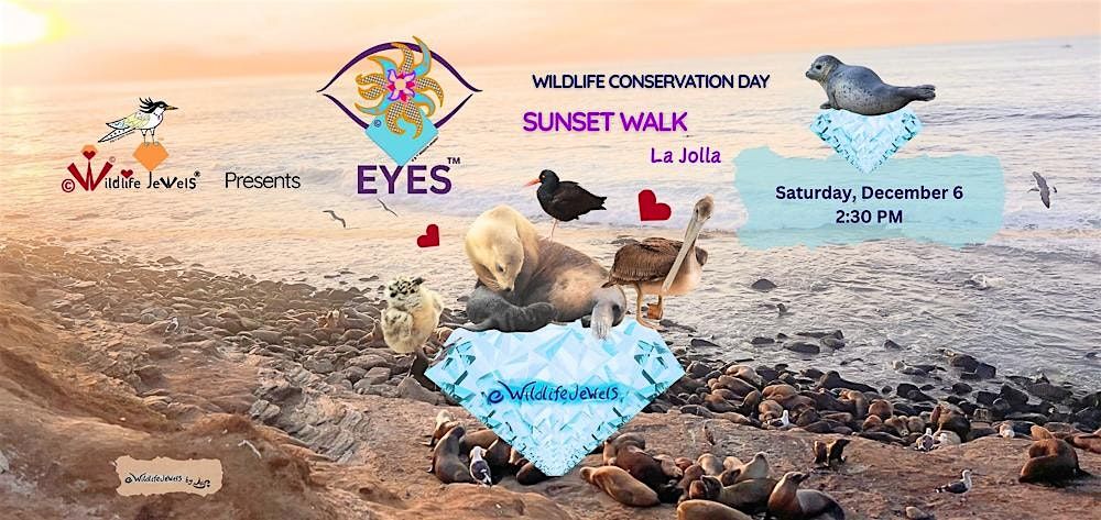 EYES Wildlife Walk at La Jolla Cove \u2014 Wildlife Conservation Day