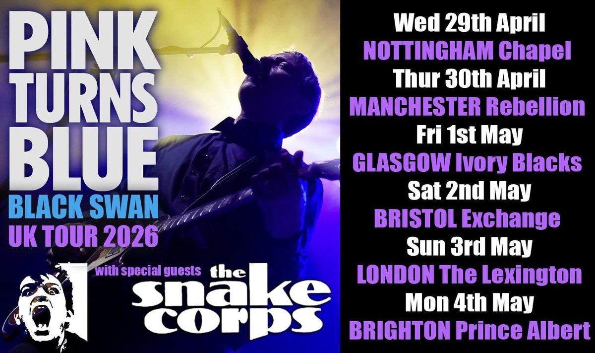 PINK TURNS BLUE\u00a0- The Black Swan Tour | Glasgow