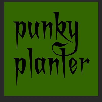 punky planter