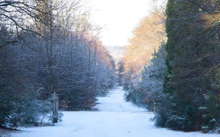 Brandon Country Park\u2019s Winter Prize Trail
