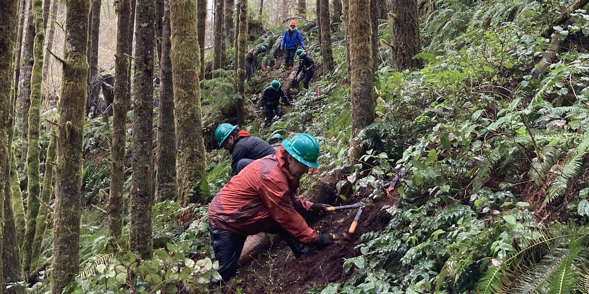 Private: WoE Trail Party - Tillamook State Forest