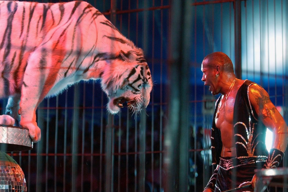 UniverSoul Circus - Newark