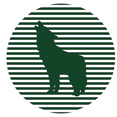 Paper Wolf Workshops