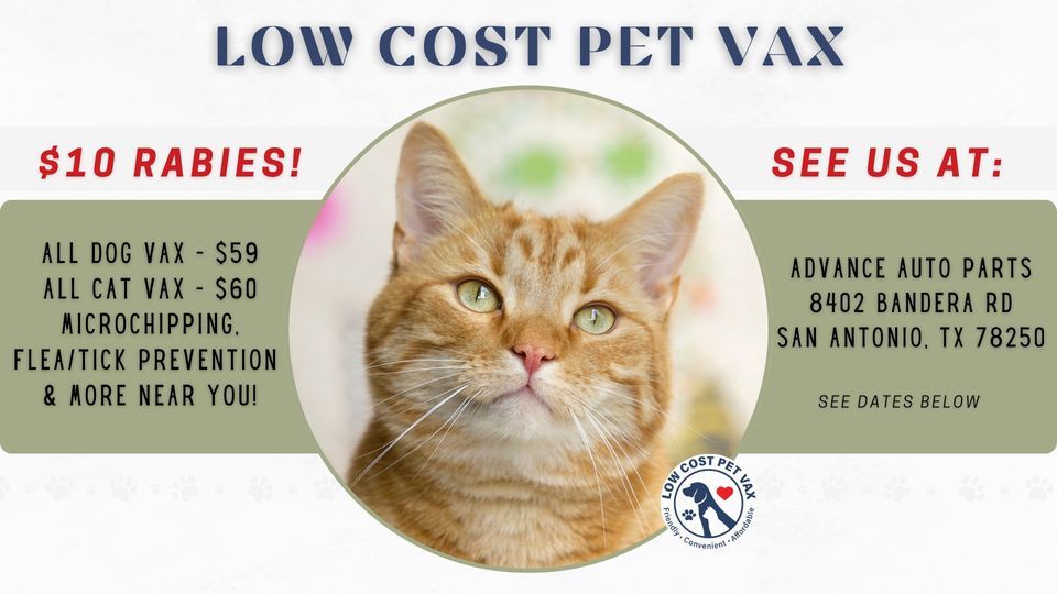 San Antonio Low Cost Pet Shots (Bandera Rd) Advance Auto Parts (8402