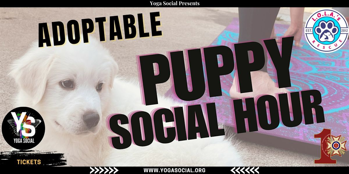 Adoptable Puppy Social Hour