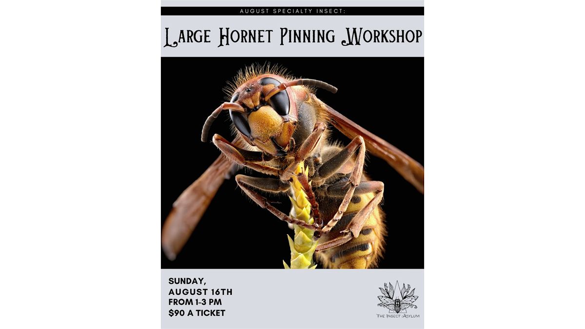 Large Hornet Pinning Workshop