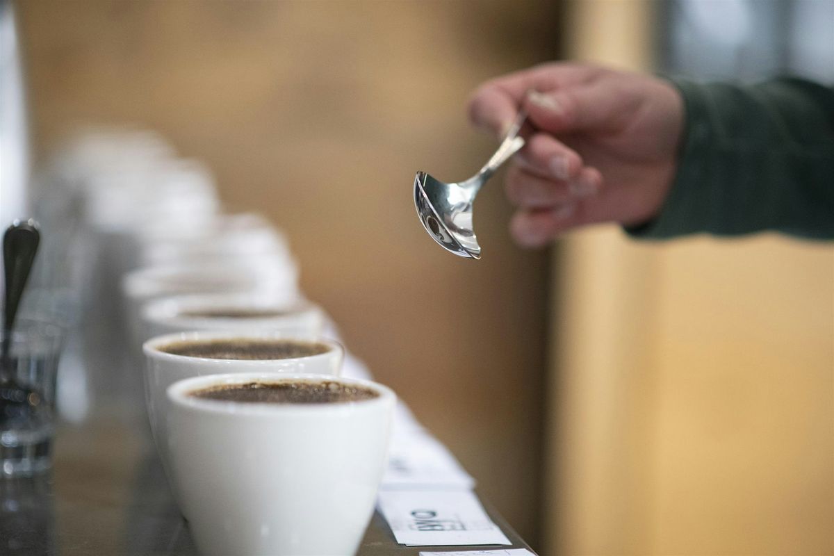 Beyond The Basics: Tasting Place & Process - February 13, 2026