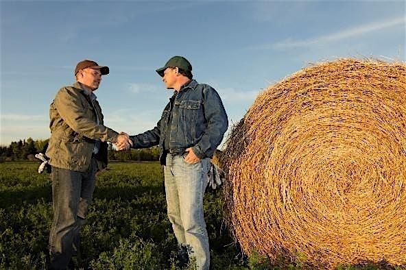 Setting Up a Limited Liability Company (LLC) Dinner Workshop