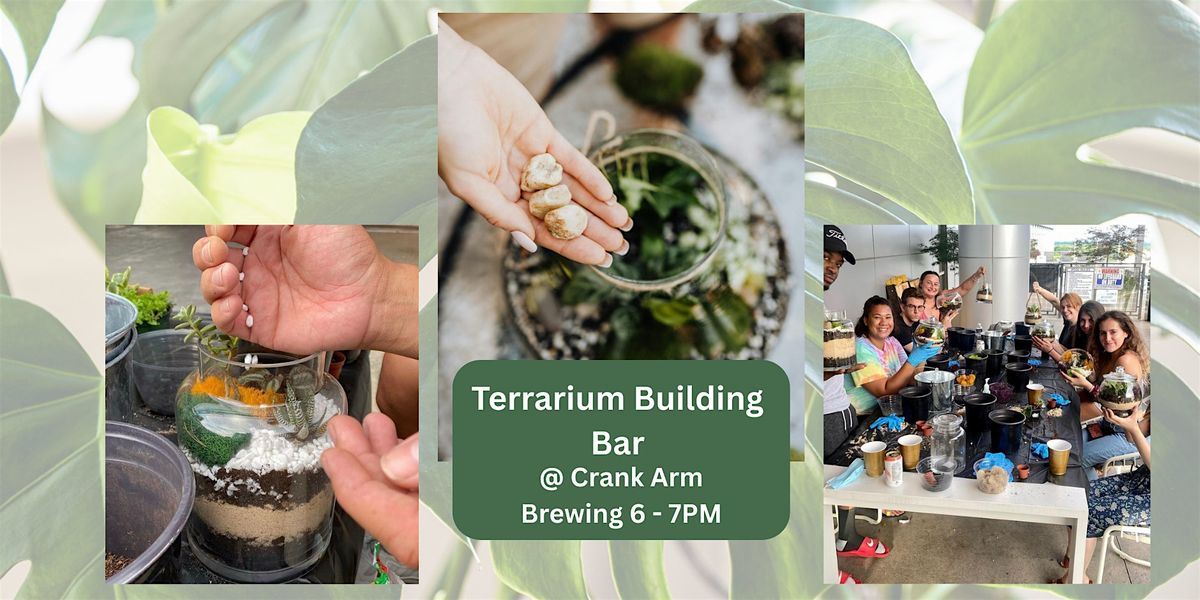 Terrarium Building Bar at Crank Arm Brewing