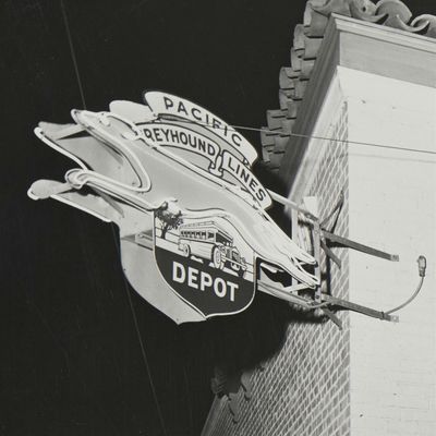 Petaluma Signs Project