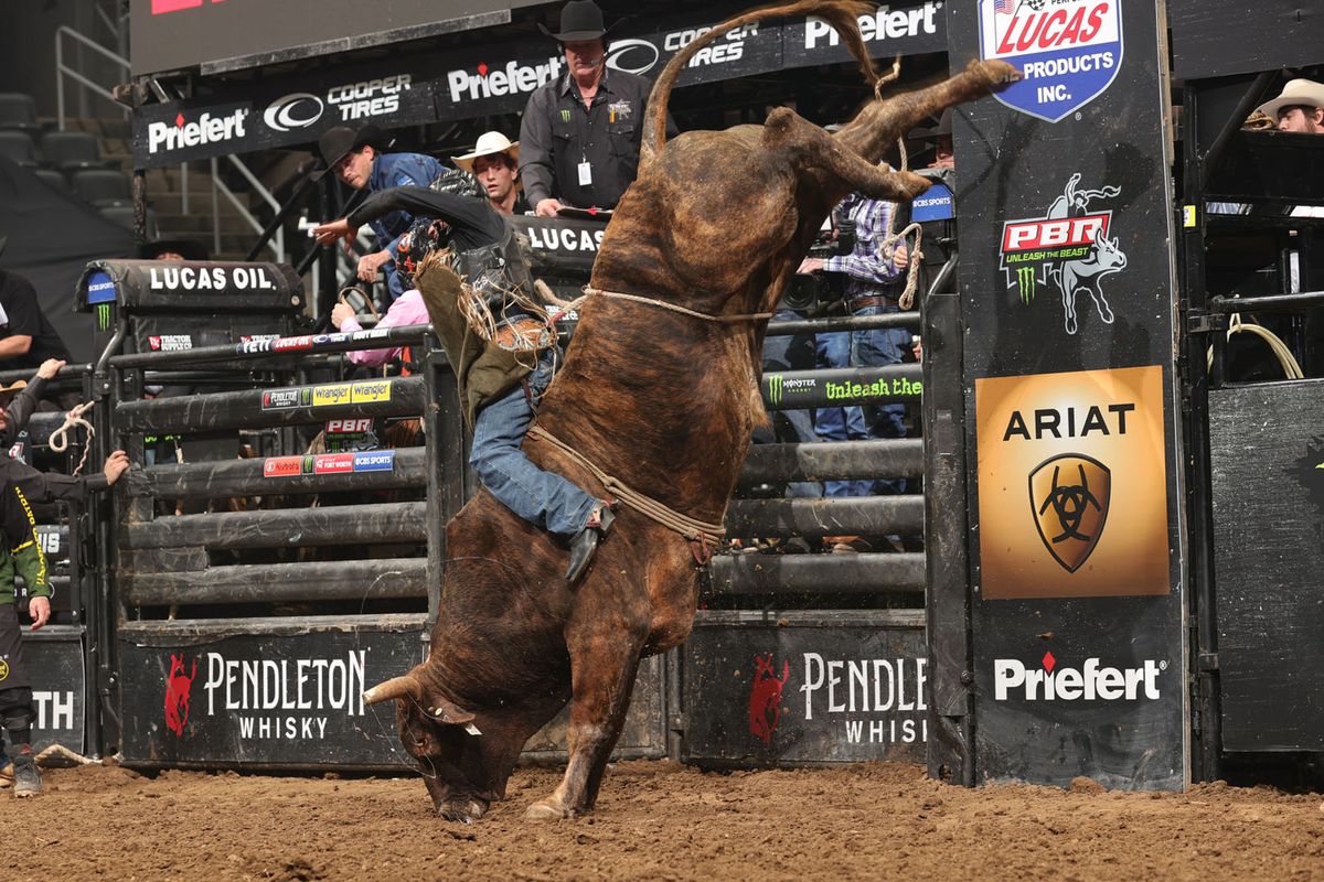 PBR - Unleash The Beast