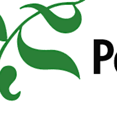 Port Kells Nursery