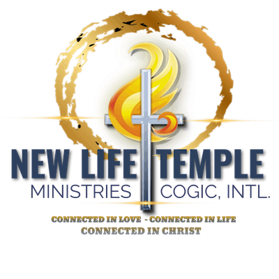 THE NEW LIFE EXPERIENCE