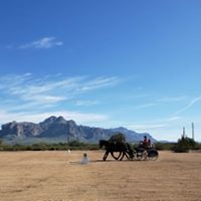 Arizona Driving and Carriage Society