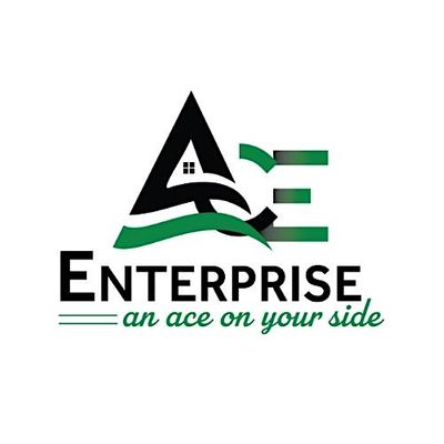 ACE Enterprise LLC