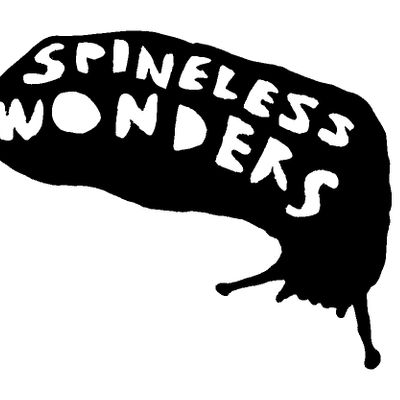 Spineless Wonders