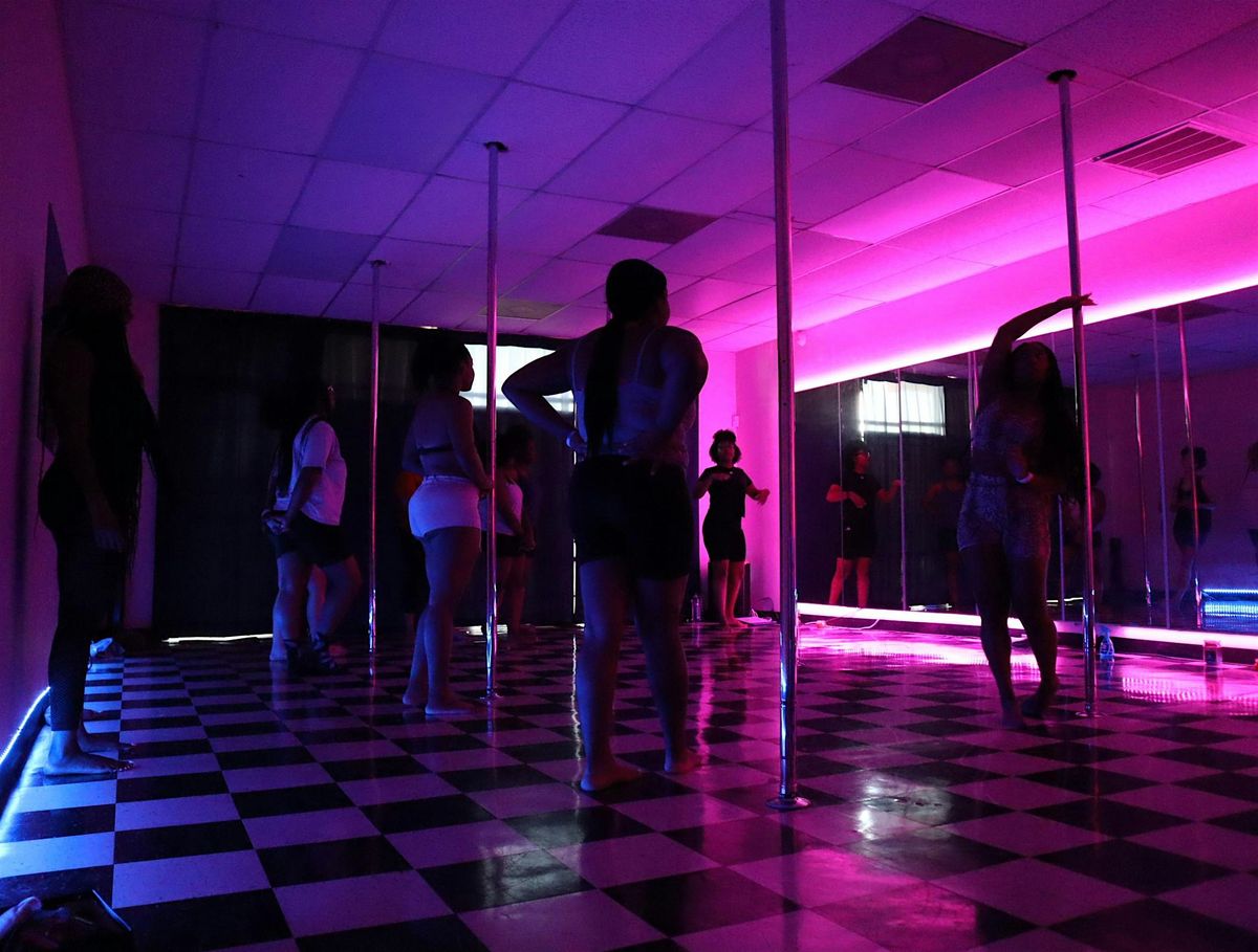 INTRODUCTION TO POLE DANCE - BEGINNER POLE DANCE 101 CLASS