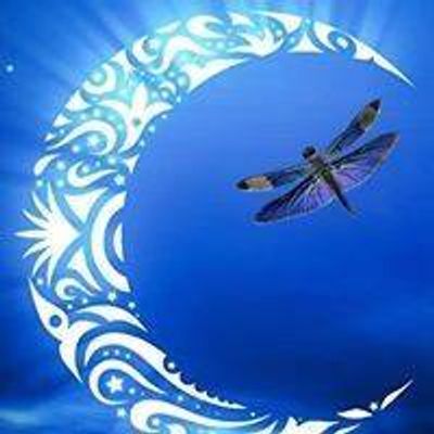 Moonlit Dragonfly