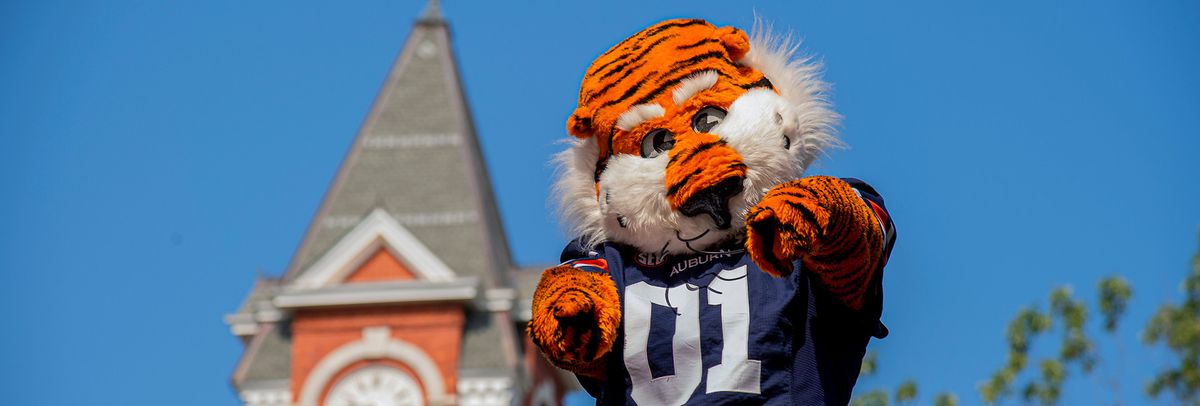 Stillman Tigers at Samford Bulldogs Womens Basketball