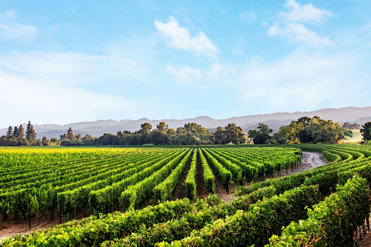 Chart House - Caymus Wine Dinner - Newport