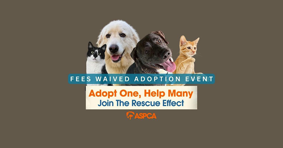 Fees Waived Pet Adoption Event! at Foothills Humane Society, Columbus ...