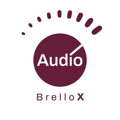 Max Malte Brellochs AUDIObrelloX