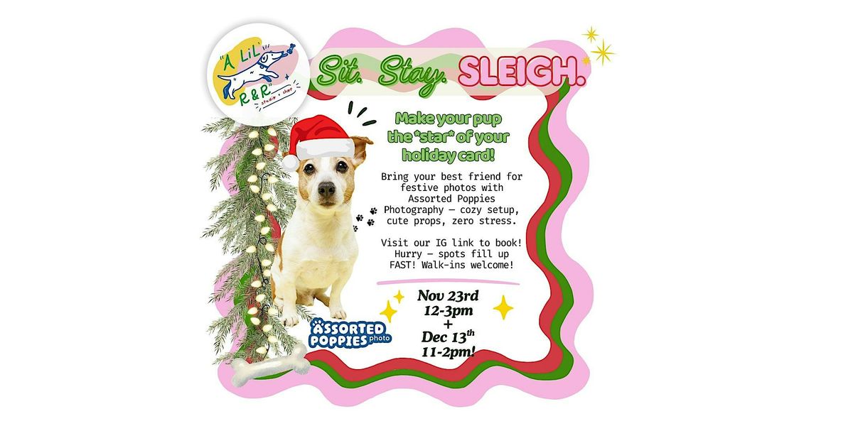 Holiday Pet Photo Sessions