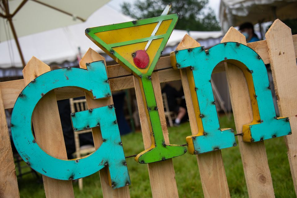 Kent Gin Fest 2022 - UKs Biggest Gin Festival | Tonbridge Castle | July ...