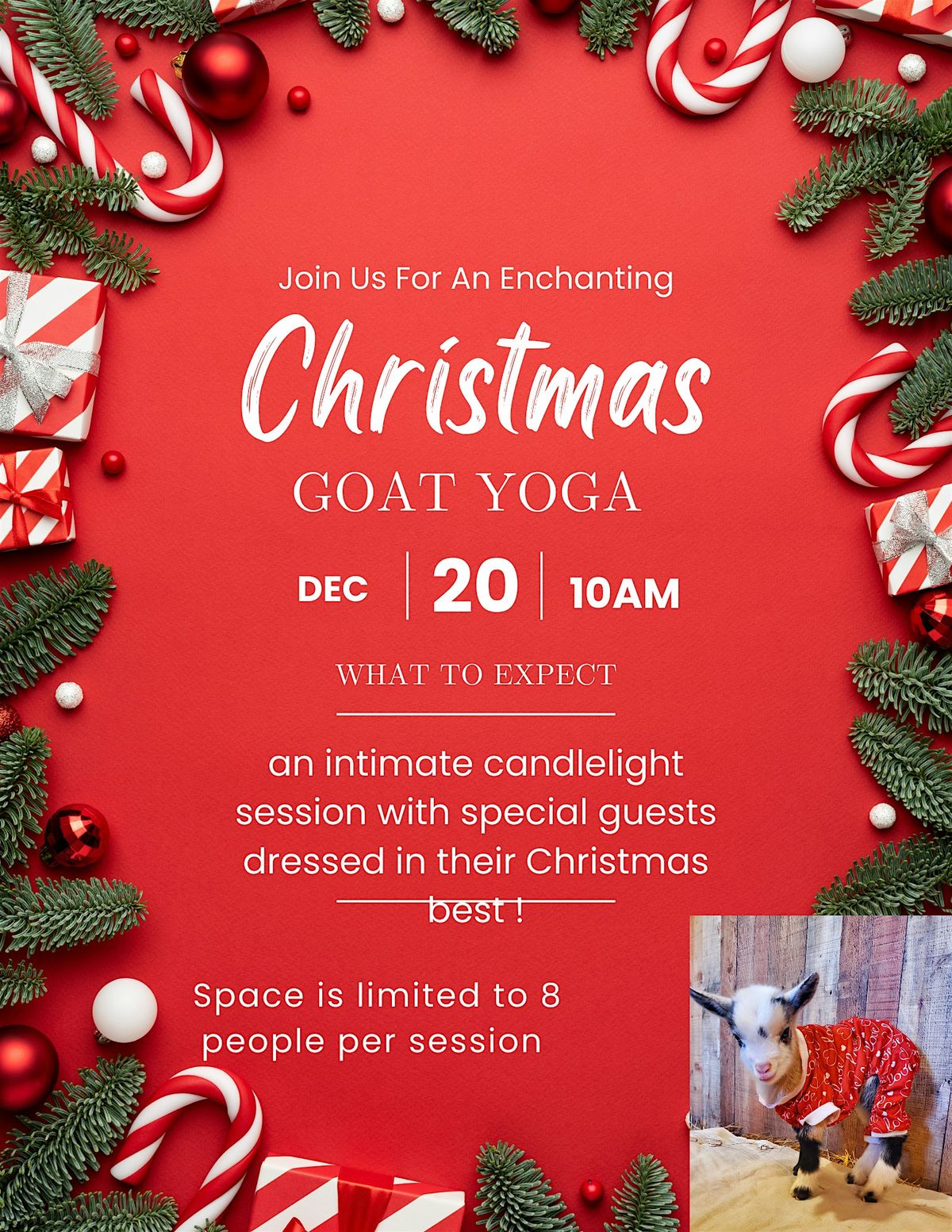 Christmas Goat Yoga