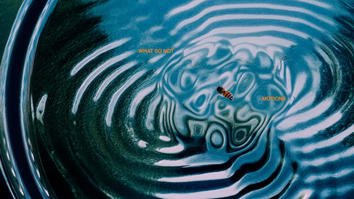 What So Not in Dallas