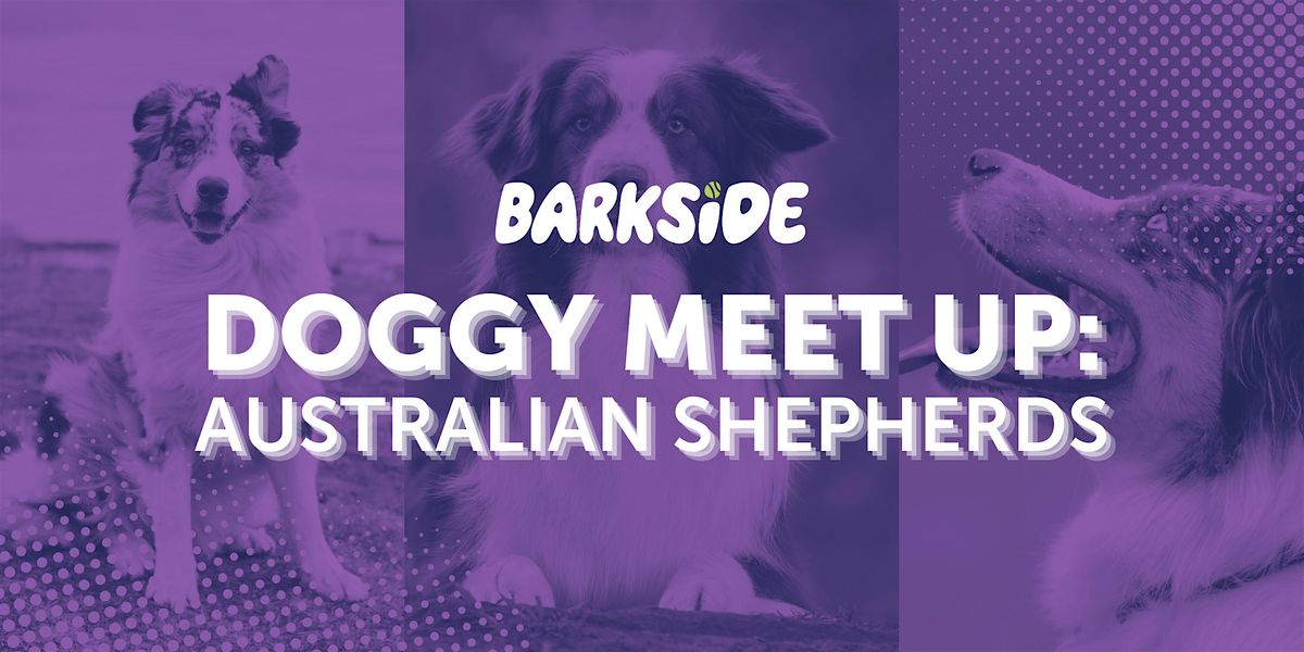 Mutt Meetup: Aussies