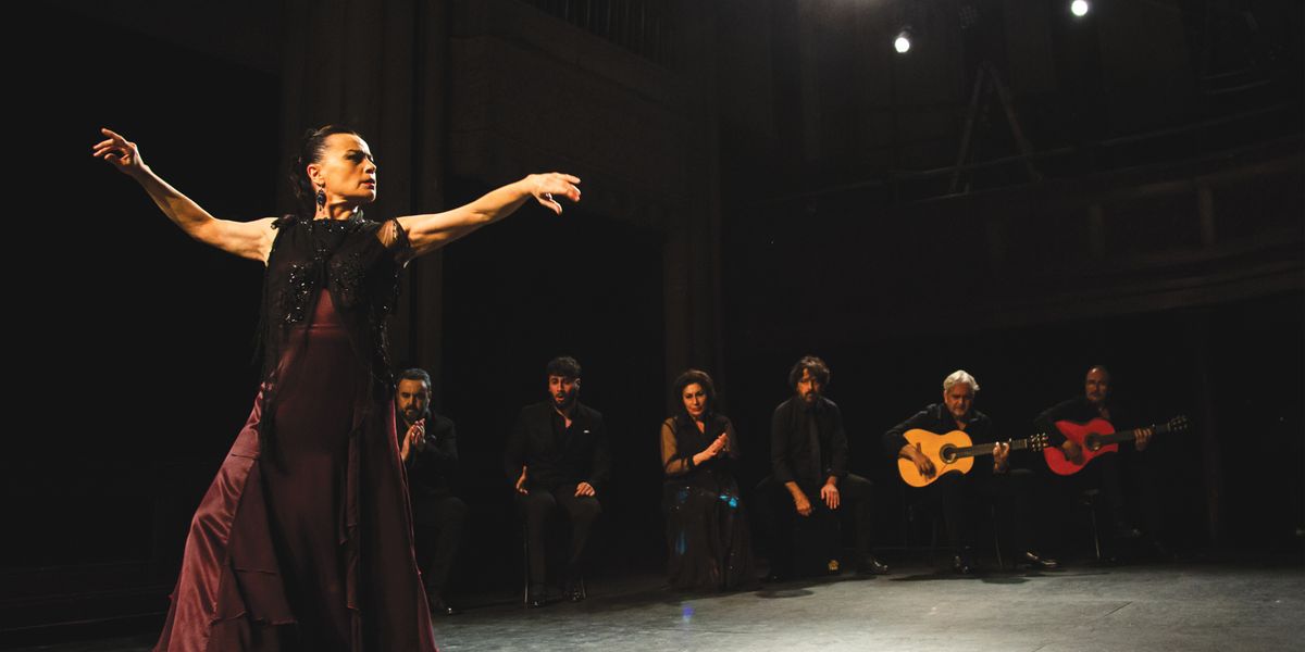 Noche Flamenca at Lisa Smith Wengler Center For The Arts - Smothers Theatre